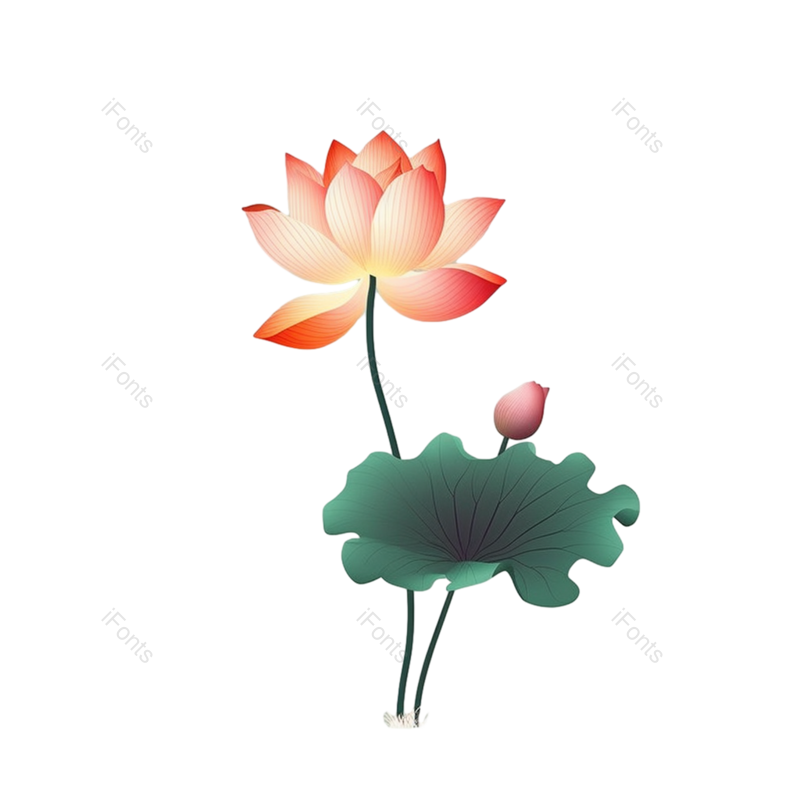 叶子图片,元素元素,清新PNG,荷花免抠素材